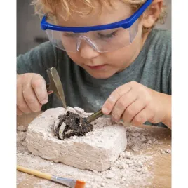 zestaw-archeologiczny-czaszki