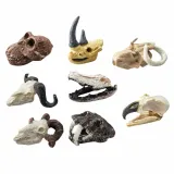 zestaw-archeologiczny-czaszki-marka-leantoys-rodzaj-maly-archeolog
