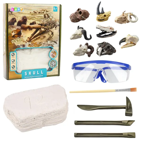 zestaw-archeologiczny-czaszki-marka-leantoys