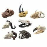 zestaw-archeologiczny-czaszki-marka-leantoys-rodzaj-maly-archeolog