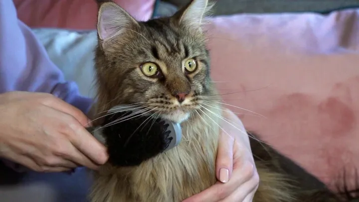 furminator-szczotka-dwustronna