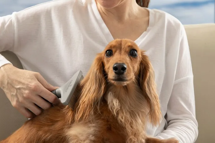 furminator-szeroki-grzebien-do-gestej-siersci