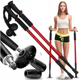 kijki-do-nordic-walking-kije-do-chodzenia-po-grorach-regulowane