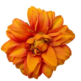 dalia-wyr-pomaranczowa-12-szt-sp