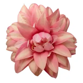 dalia-wyr-kremowo-rozowa-12-szt-sp