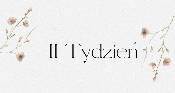 STATUS FINANSOWY SEGREGATORA BUDŻETOWEGO A6 Drugi Tydzień