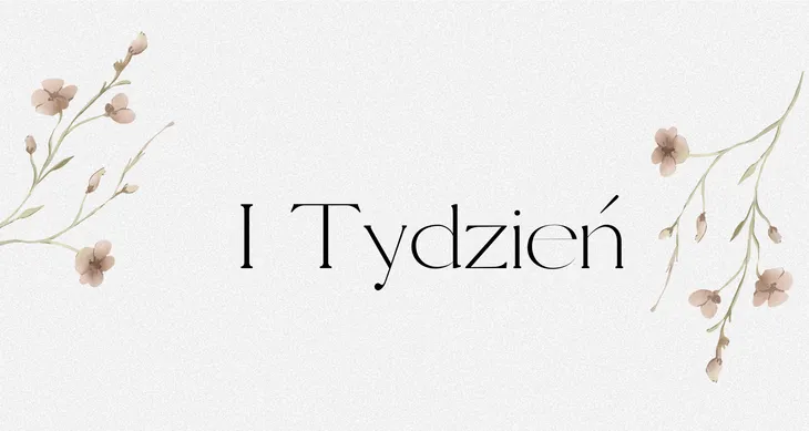 STATUS FINANSOWY SEGREGATORA BUDŻETOWEGO A6 Pierwszy Tydzień