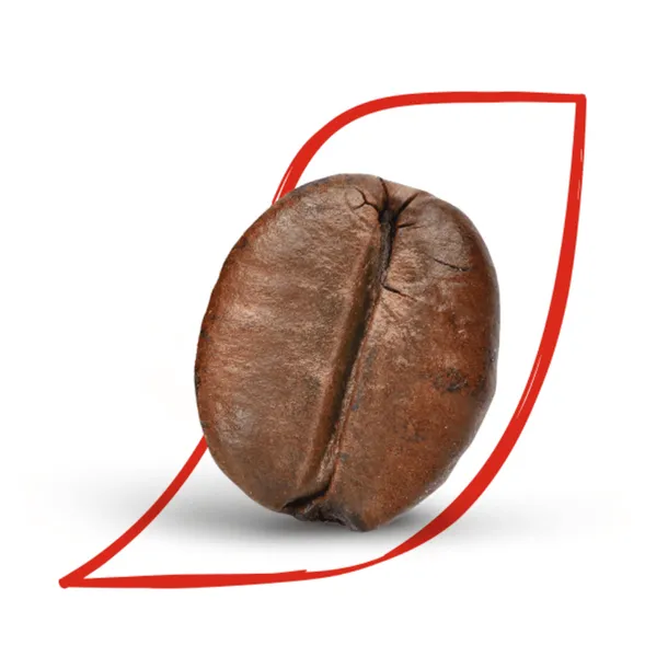 kawa-nescafe-classic-100x2g-waga-200-g