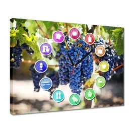 zegary-40x30-wino-winogrona-winnica