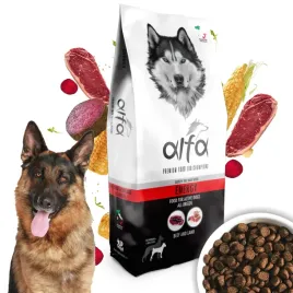 sucha-karma-dla-doroslego-psa-alfa-energy-wolowina-z-jagniecina-20-kg