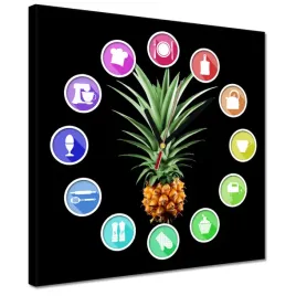zegary-30x30-ananas