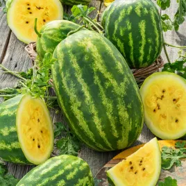 arbuz-luteo-nasiona-arbuza-zolty-miazsz-slodki-plenna-odmiana-smaczna