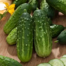 ogorek-gruntowy-korniszonowy-cornichon-de-paris-nasiona-warzyw-ogorkow