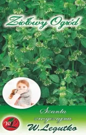 szanta-zwyczajna-wieloletnia-lecznicza-nasiona-ziol-swieze-nasiona-szanty