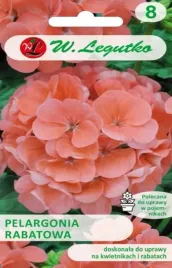 pelargonia-rabatowa-gama-f1-lososiowa-nasiona-kwiatow-kwiaty-pelargoni