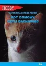kot-domowy-czyli-dachowiec