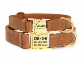 obroza-dla-psa-skorzana-z-grawerem-r-m-brazowy