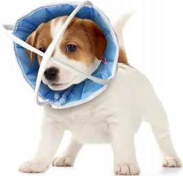 kolnierz-okulistyczny-pooperacyjny-pies-kot-s