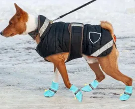 sniegowce-dla-psa-odblaskowy-pasek-antyposlizgowa-podeszwa-niebieskie-l