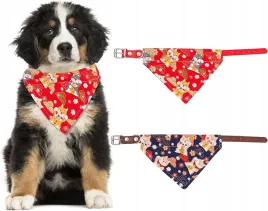 obroza-dla-psa-skory-ekologicznej-hacraho-r-l