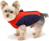 kurteczka-ce-czerwony-l