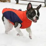 kurteczka-ce-czerwony-l-rozmiar-l