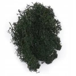 mech-chrobotek-ciemnozielony-0354