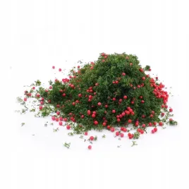 posypka-do-tworzenia-drzew-0916