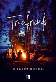 friends-t-3-true-friends-pocket