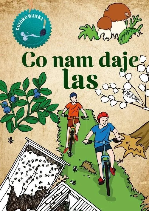 kolorowanka-co-nam-daje-las