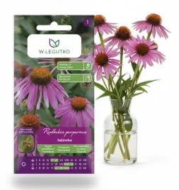 legutko-nasiona-jezowka-rudbekia-purpurowa-rozowa-idealna-dla-pszczol