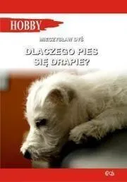 dlaczego-pies-sie-drapie-mieczyslaw-dys