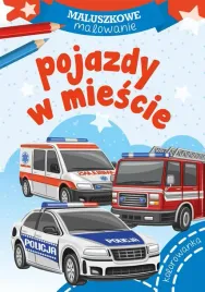 maluszkowe-malowanie-pojazdy-w-miescie