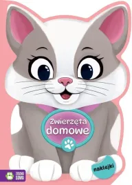 na-tropie-kolorow-zwierzeta-domowe