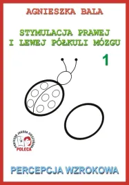 zeszyt-cwiczen-percepcja-wzrokowa-arson
