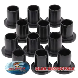 zestaw-naprawczy-niezaleznego-zawieszenia-tylnego-all-balls-polaris