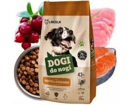 lincoln-dogi-do-nogi-indyk-z-lososiem-15kg