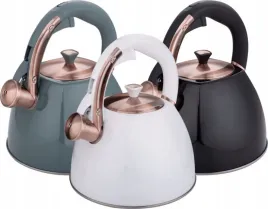 czajnik-ze-stali-nierdzewnej-o-pojemnosci-30-na-indukcje