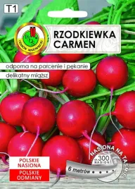 rzodkiewka-carmen-6-m