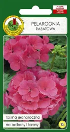 pelargonia-rabatowa-f1-rozowa-10-z
