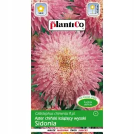 aster-chinski-ksiazecy-wysoki-sidonia-rozowy-1g-plantico