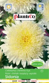 aster-chinski-ksiazecy-wysoki-sidonia-zolty-1g-plantico