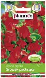 groszek-pachnacy-czerwony-2g-plantico