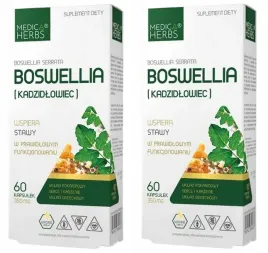 boswellia-kadzidlowiec-60-kapsulek-medica-herbs-x-2