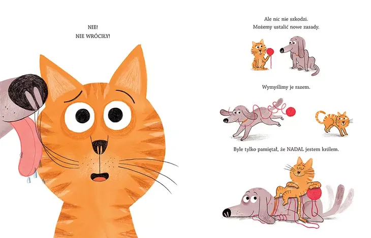 krol-kot-tytul-krol-kot