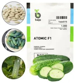 ogorek-atomic-f1-1000-nasion-holenderskich-nasiona-warzyw