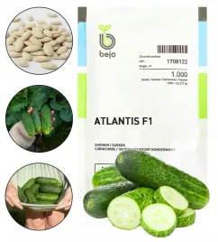 ogorek-atlantis-f1-1000-nasiona-warzyw-holenderskie-profesjonalne