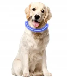 obroza-dla-psa-silikonowa-swiecaca-allbag-r-uniwersalnaleddo-ladowowania