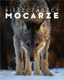 album-bieszczadzcy-mocarze-wilk