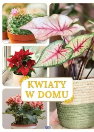 kwiaty-w-domu-praca-zbiorowa
